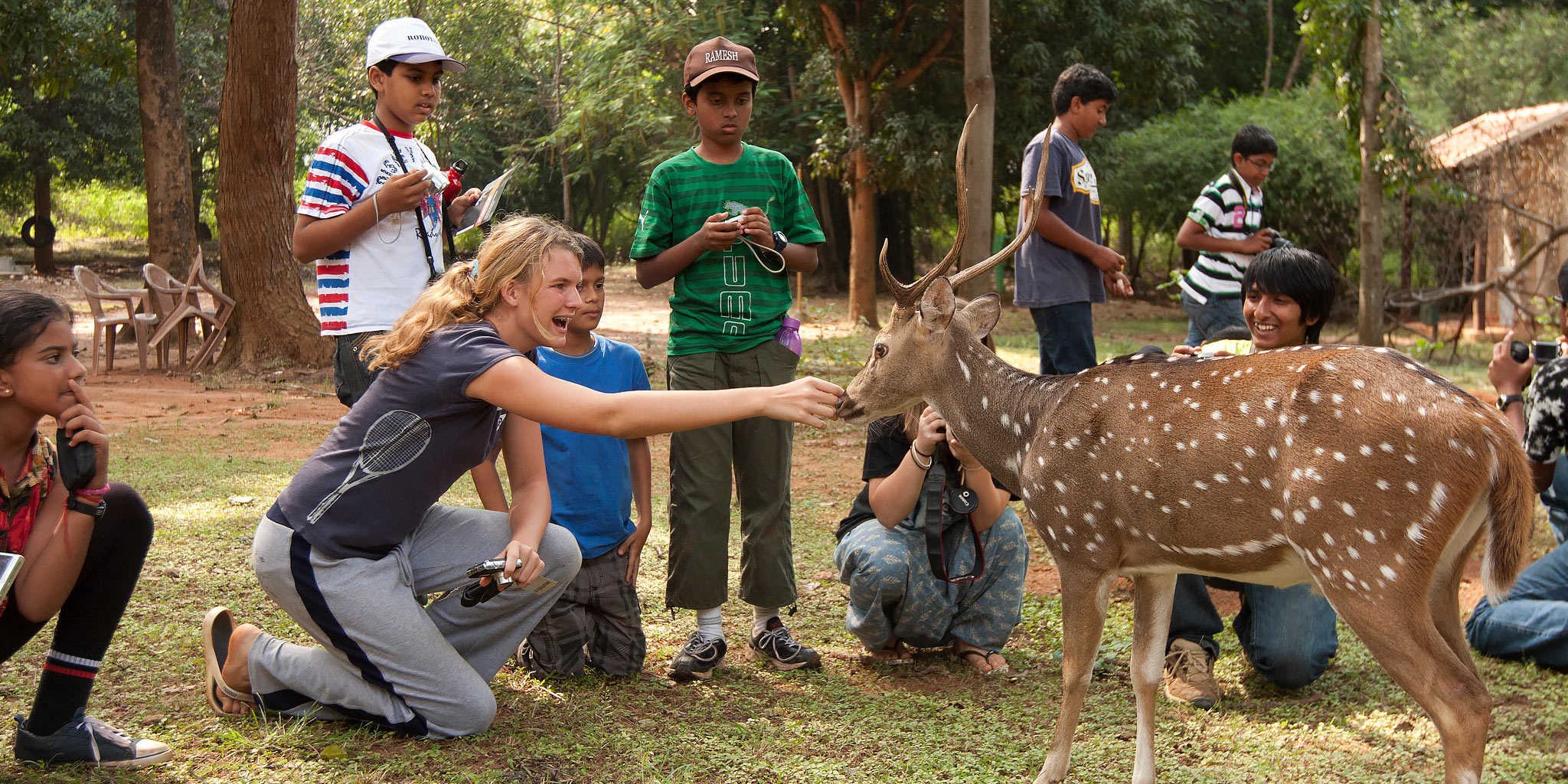 How to Keep Wildlife Safe and Respectful While Camping How to Keep Wildlife Safe and Respectful While Camping?