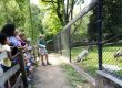 ZooAmerica: A Wildlife Adventure Near Elizabethtown/Hershey KOA