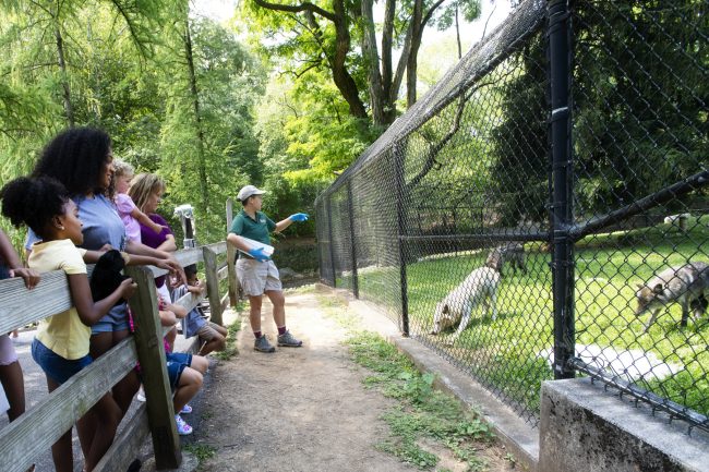 ZooAmerica ZooAmerica: A Wildlife Adventure Near Elizabethtown/Hershey KOA